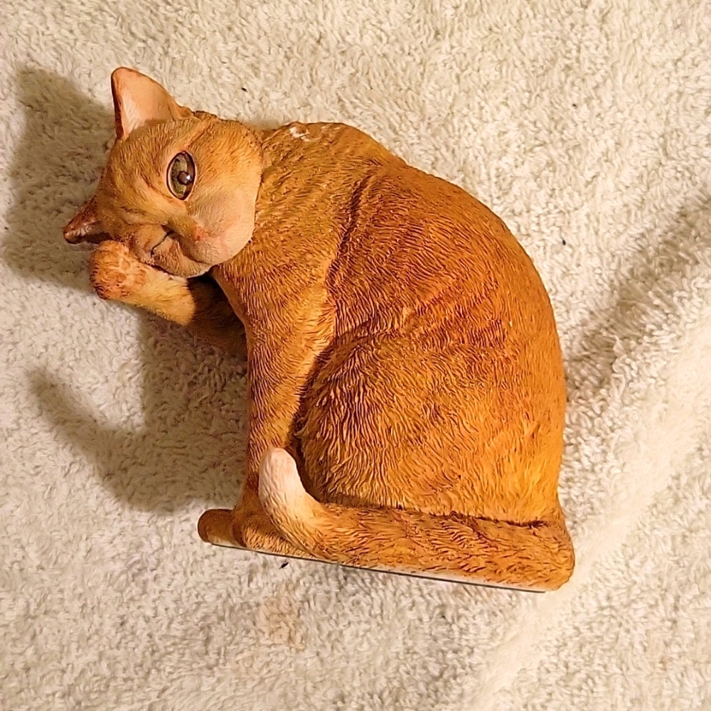 Ginger Tabby- Washing